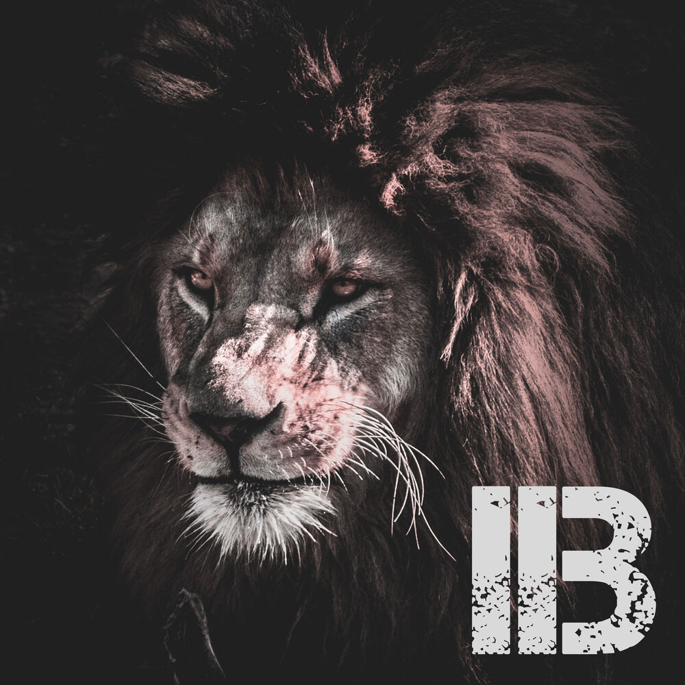 Picture of IB