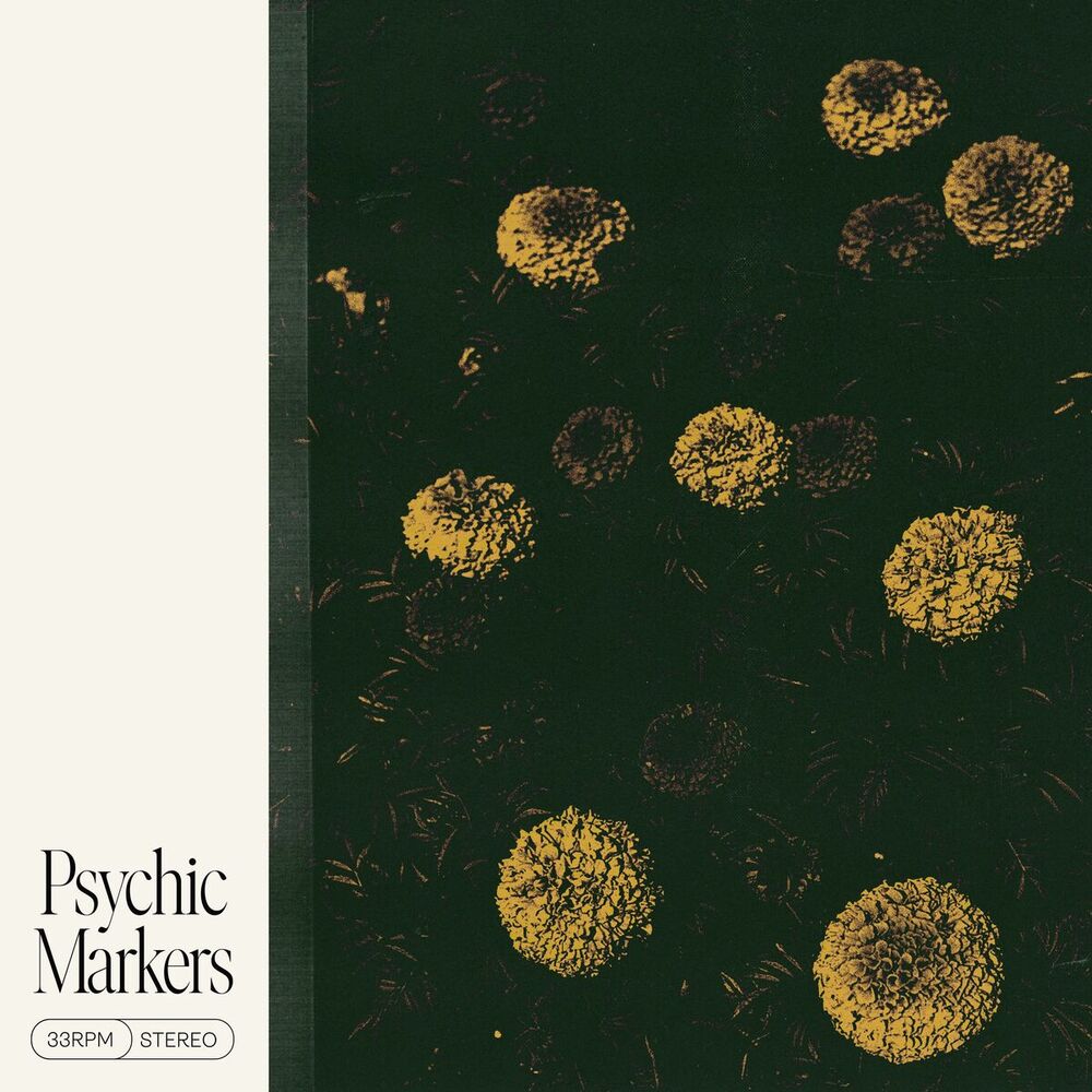 Picture of Psychic Markers