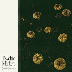 Picture of Psychic Markers