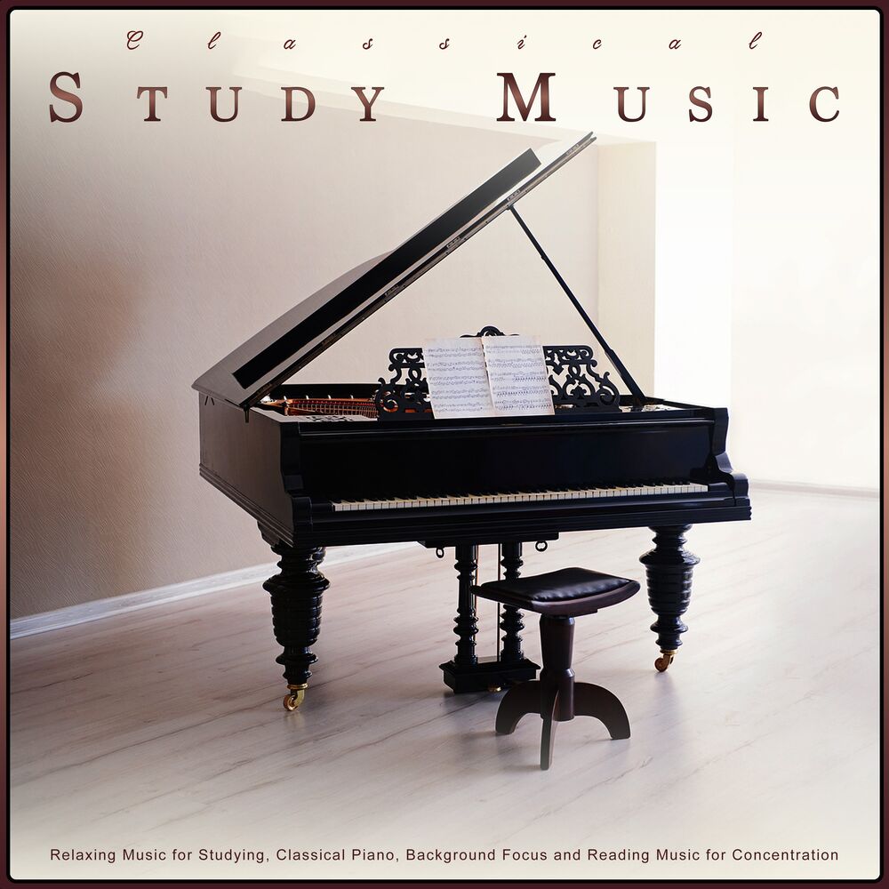 Picture of Study Music Solitude