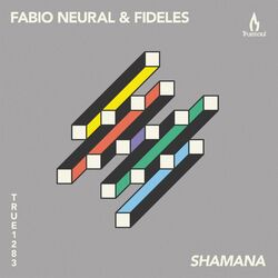 Picture of Fabio Neural