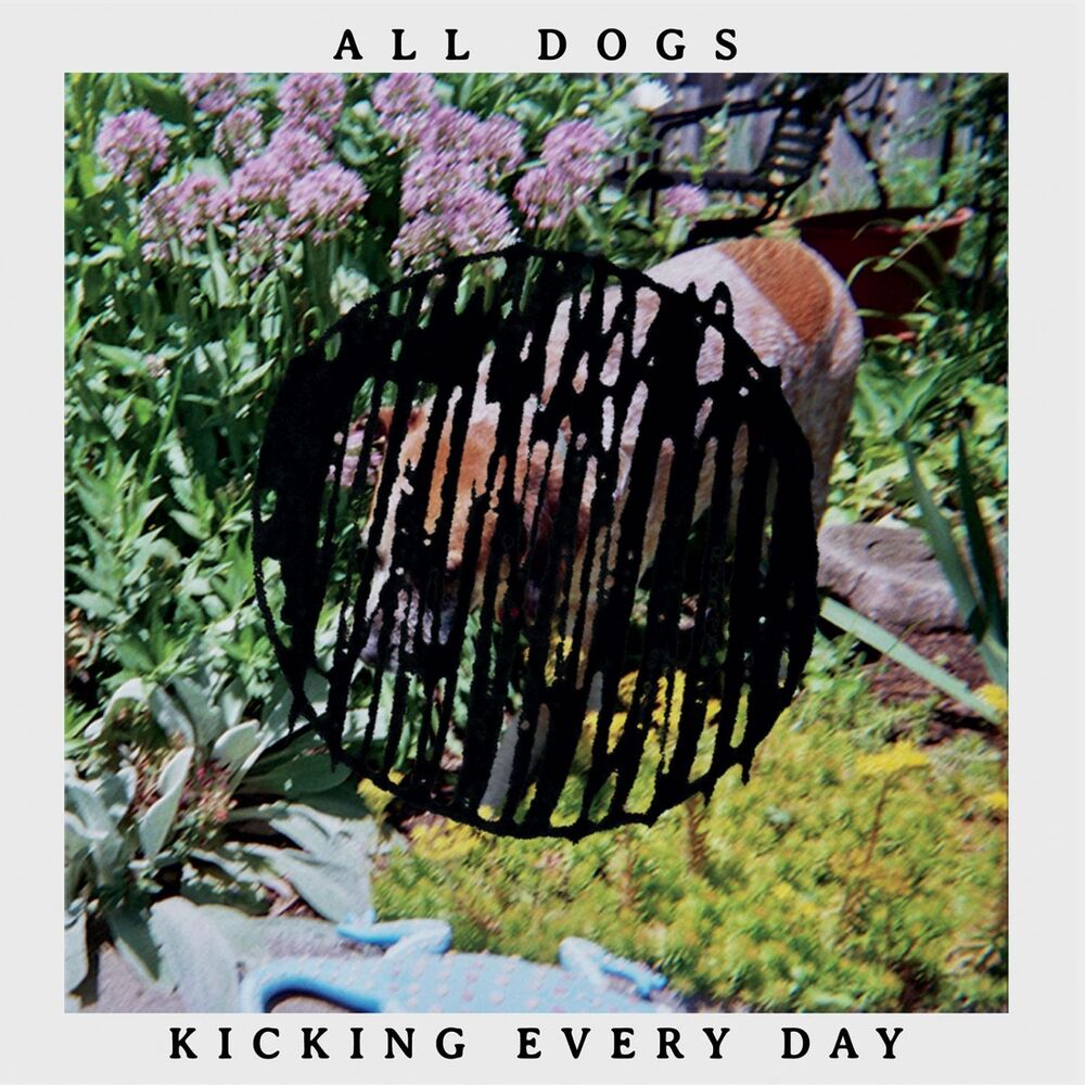 Picture of All Dogs
