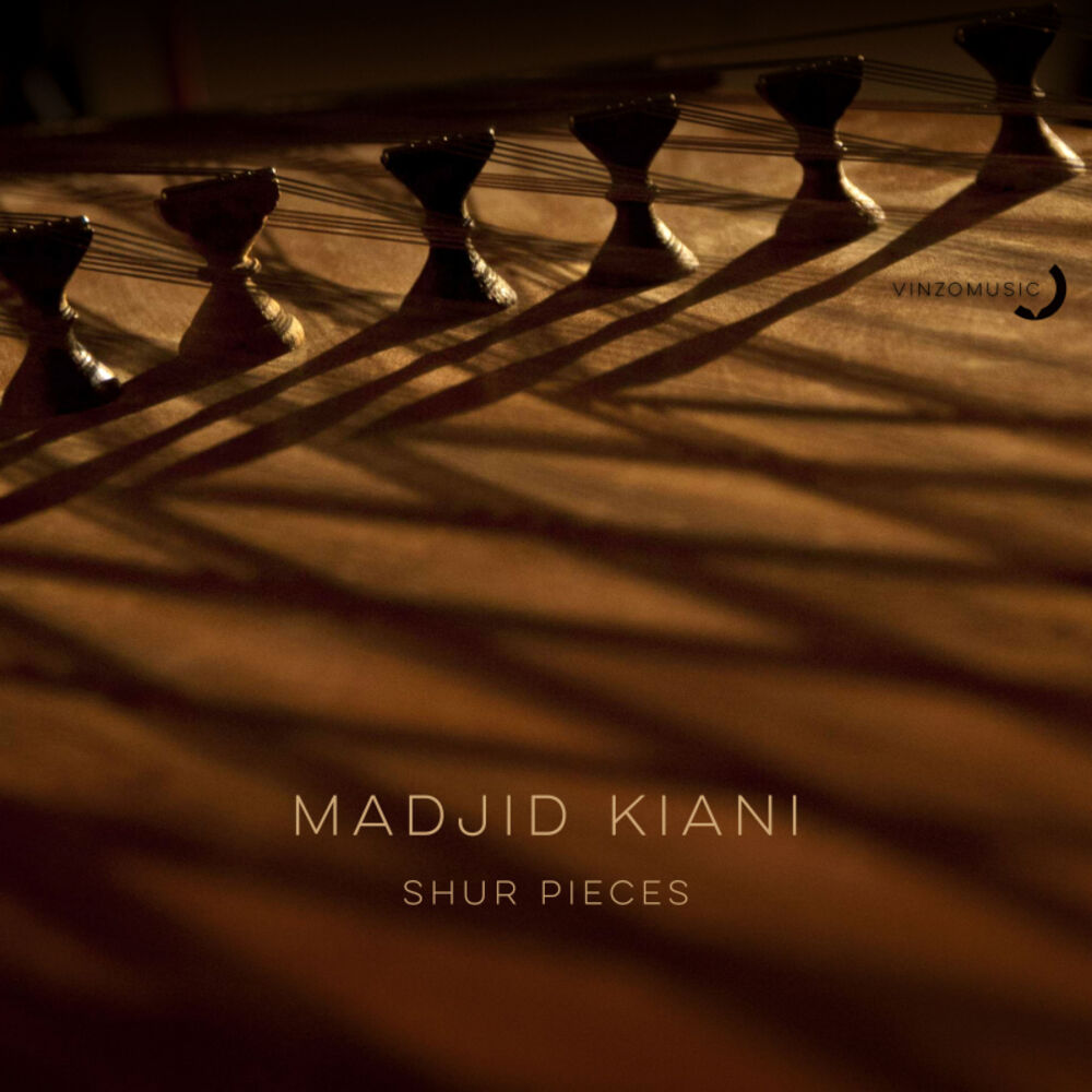 Picture of Madjid Kiani