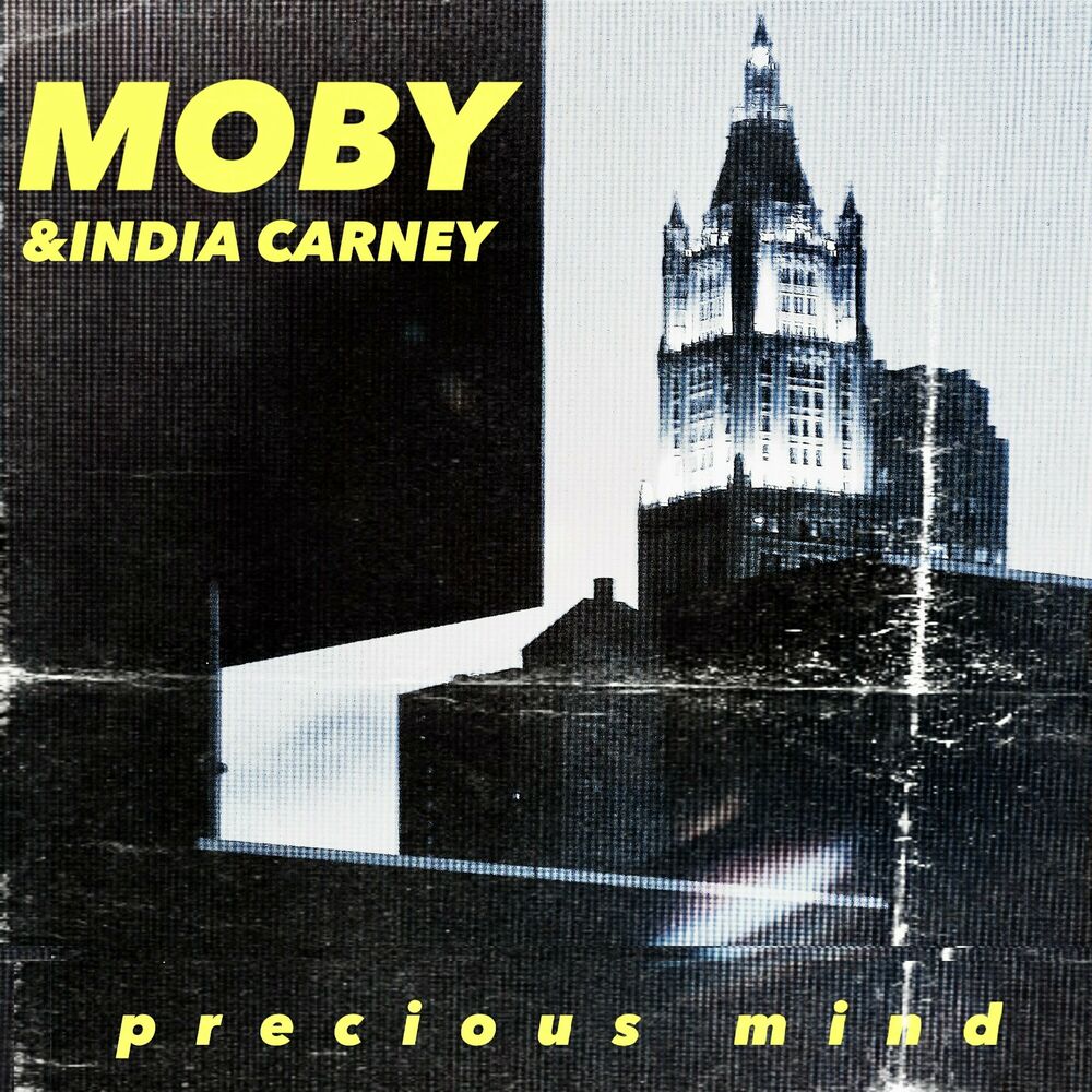 Picture of India Carney