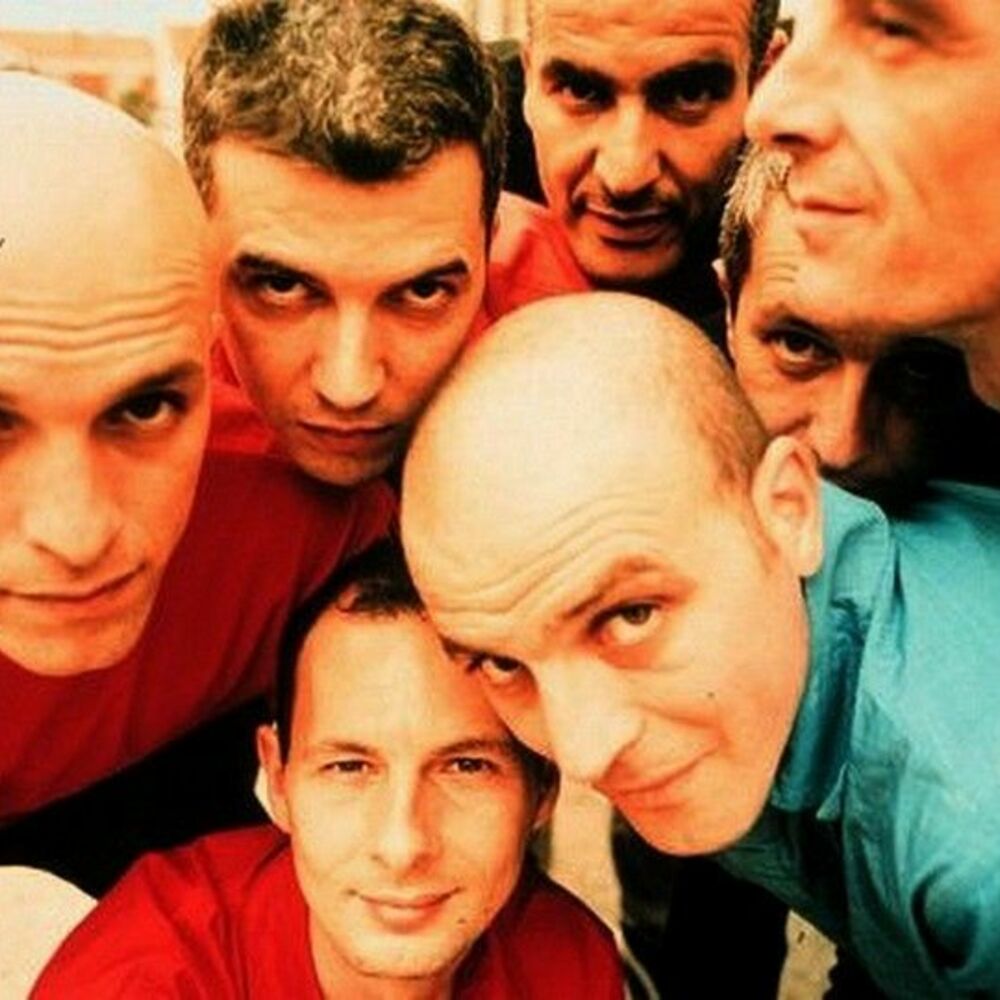 Picture of Zebda