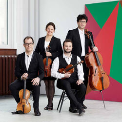 Picture of Quatuor Molinari