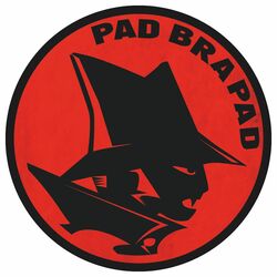 Picture of Pad Brapad