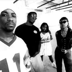 Picture of Masta Ace Incorporated