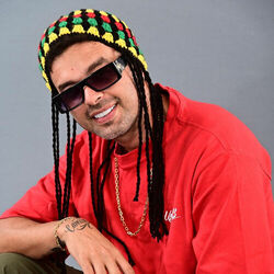 Picture of Seresta do Rasta