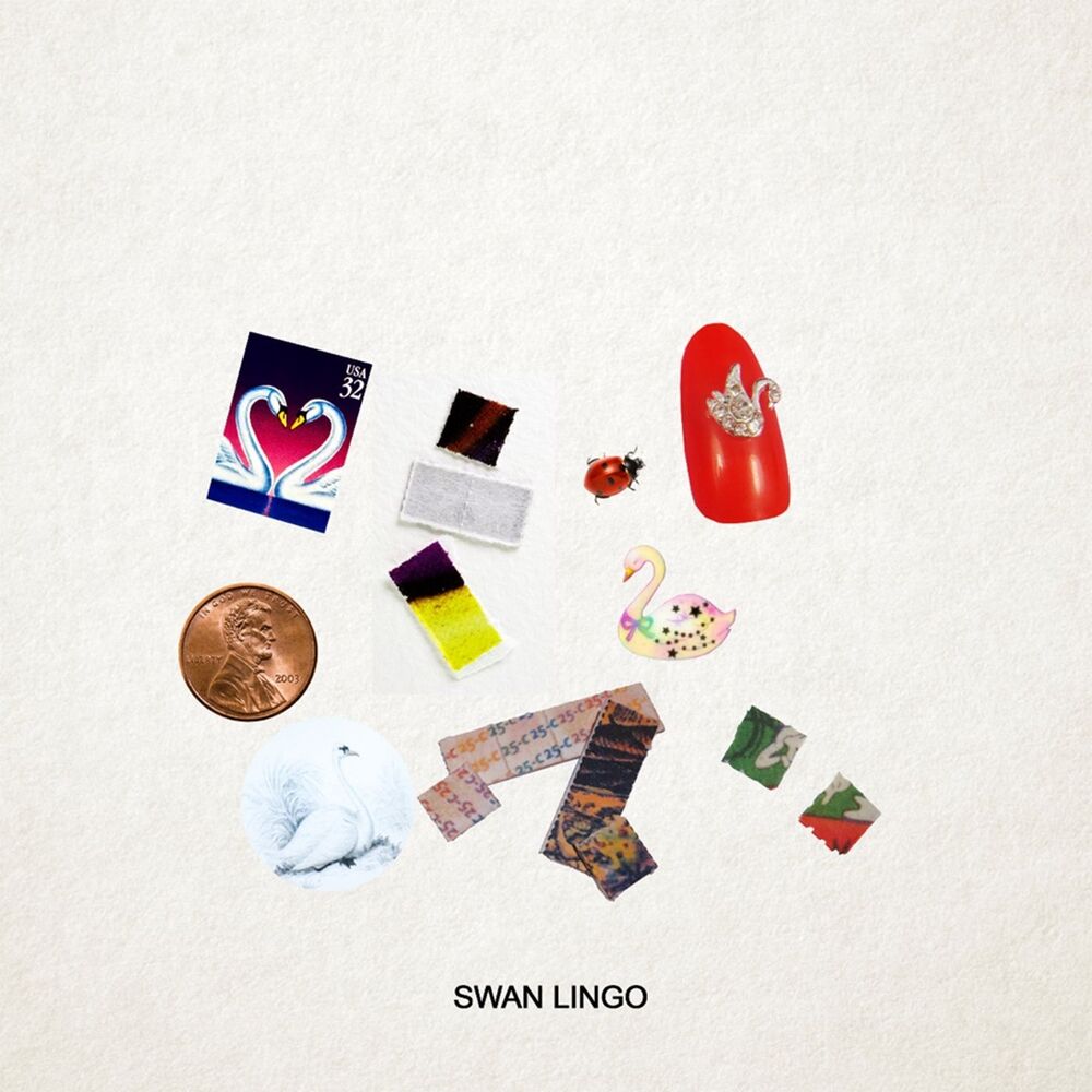 Picture of Swan Lingo