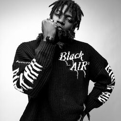 Picture of King Perryy