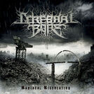 Cerebral Bore