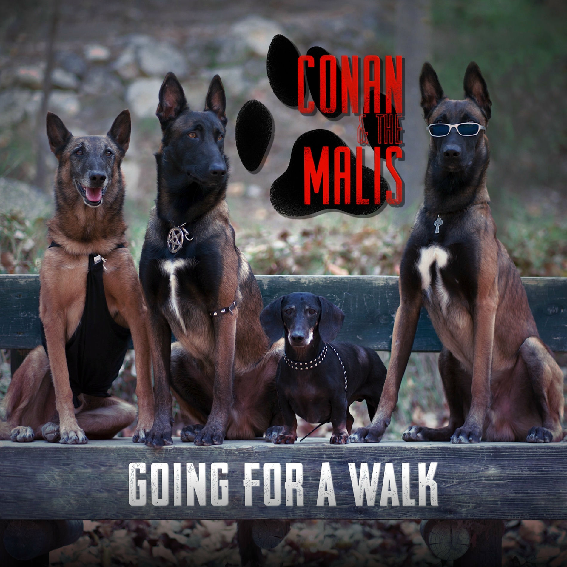 CONAN AND THE MALIS