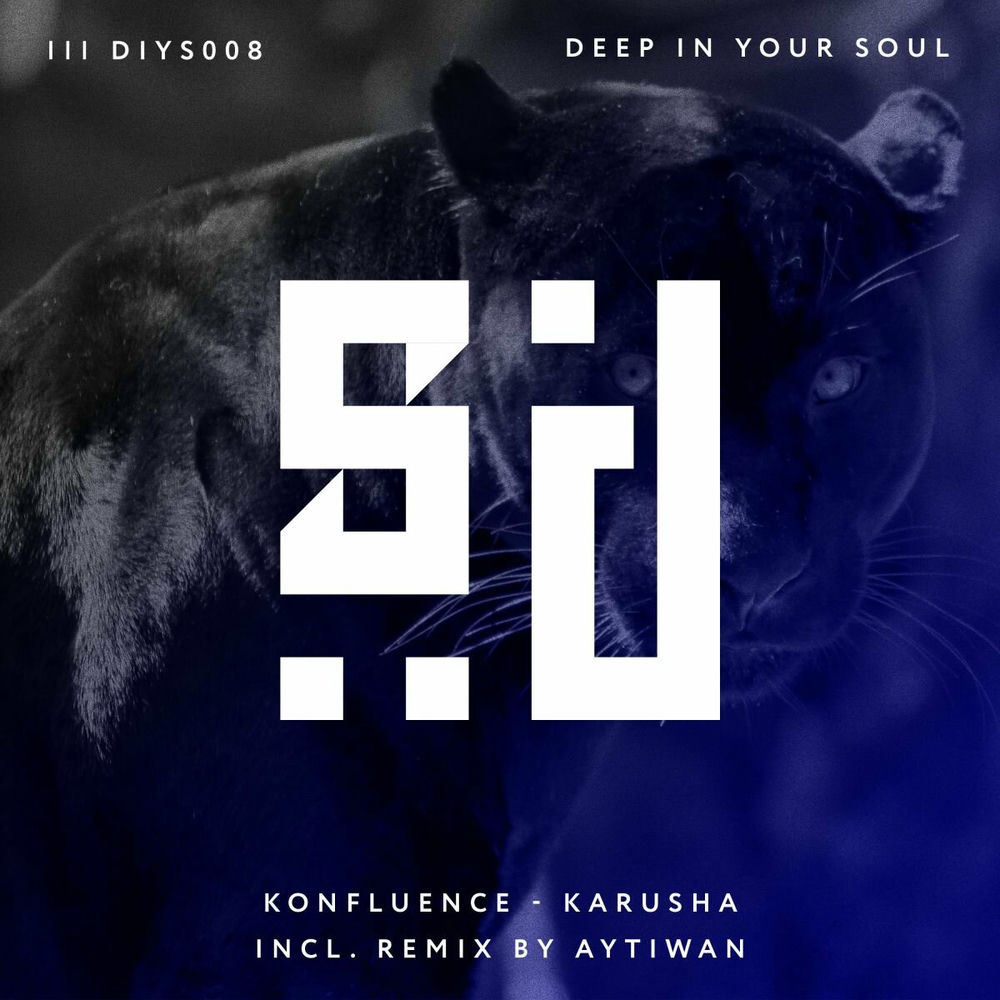 Photo de l'artiste Konfluence