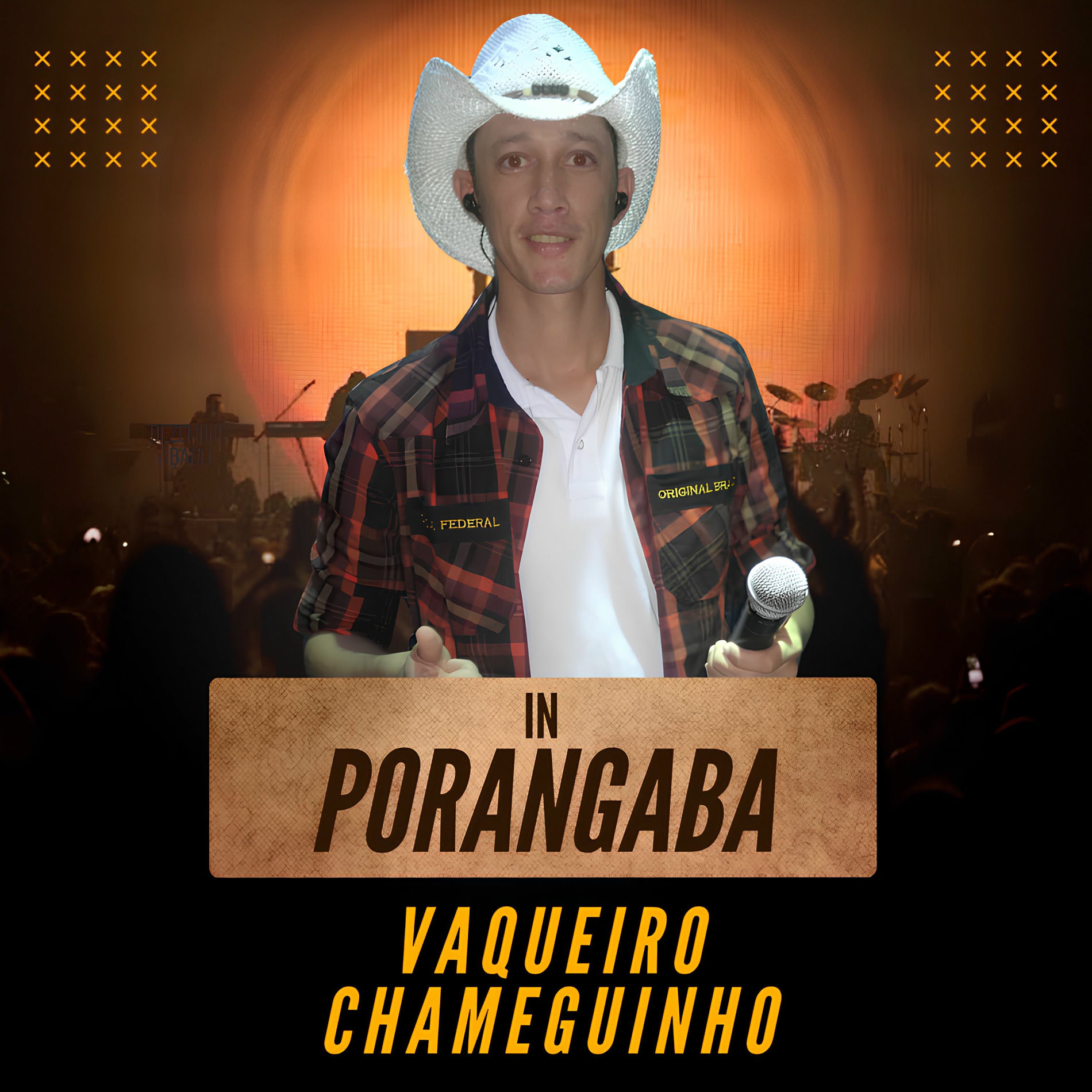Vaqueiro Chameguinho