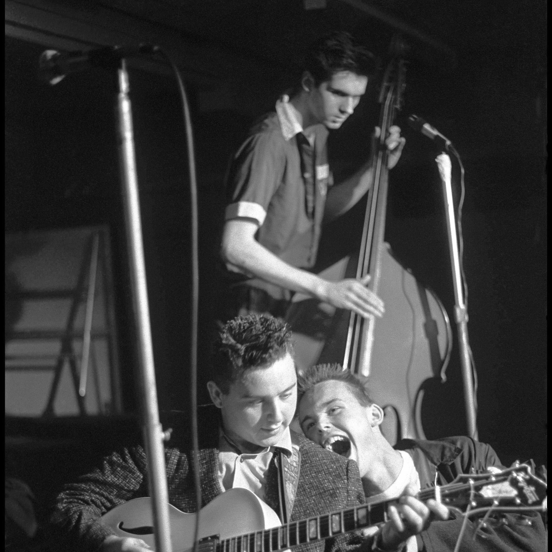 Artist picture of The Meteors