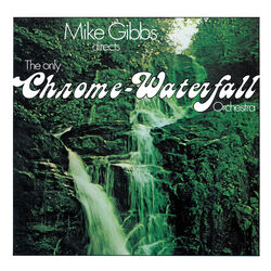 Picture of Mike Gibbs