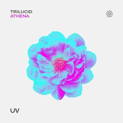 Picture of Trilucid