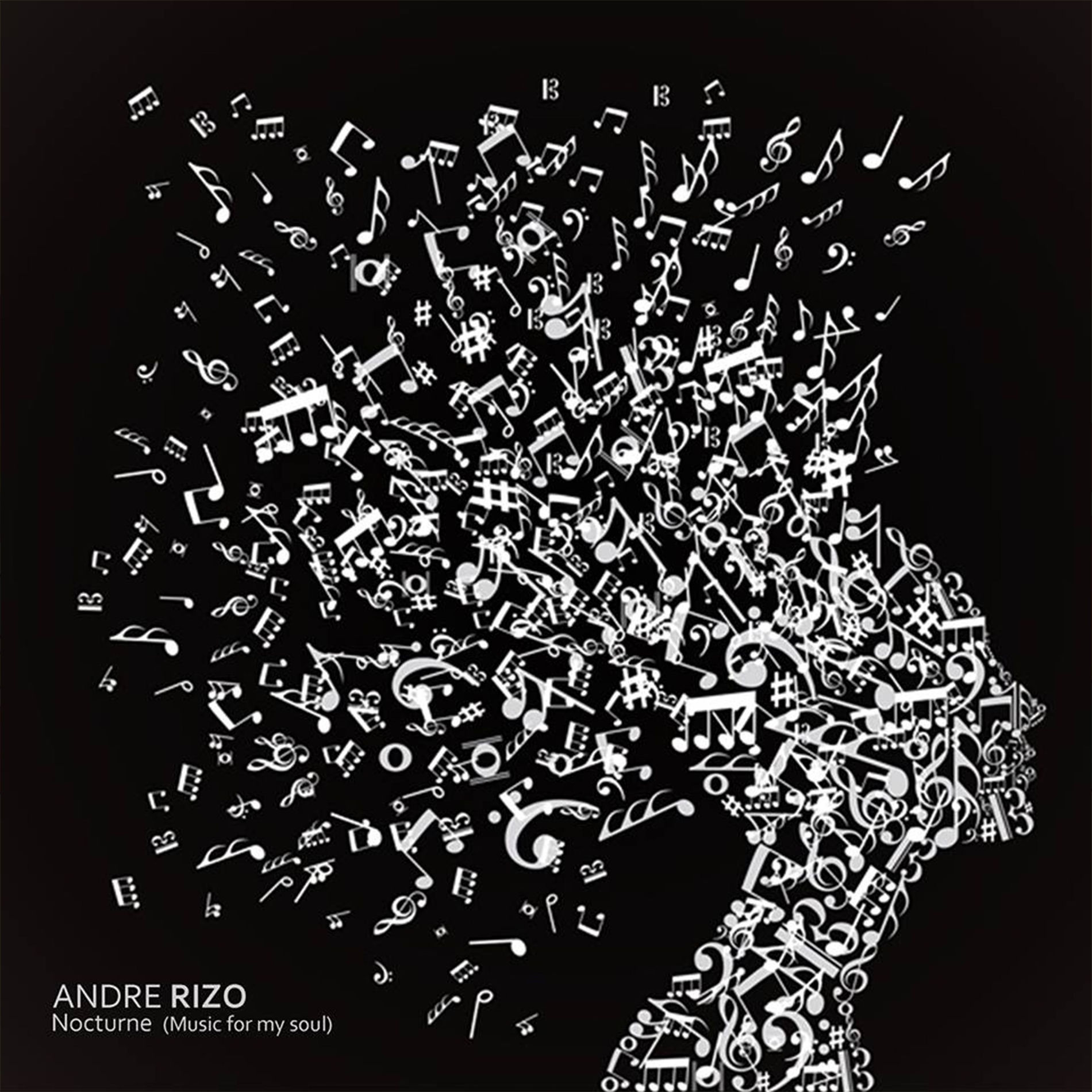 Artist picture of Andre Rizo