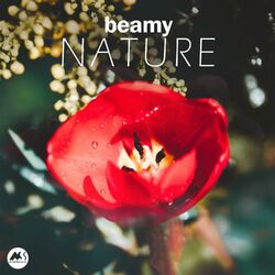 Picture of Beamy