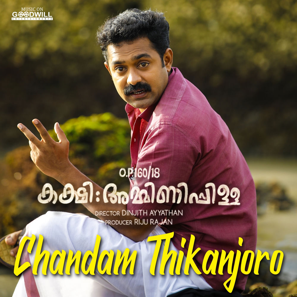 Picture of Sudheer Paravoor