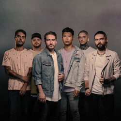 Picture of To the Rats and Wolves