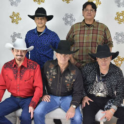 Picture of Caballo Dorado