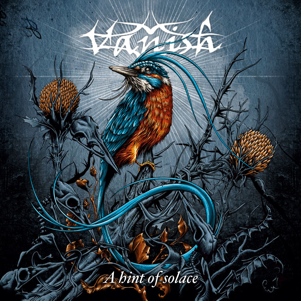Picture of Vanish