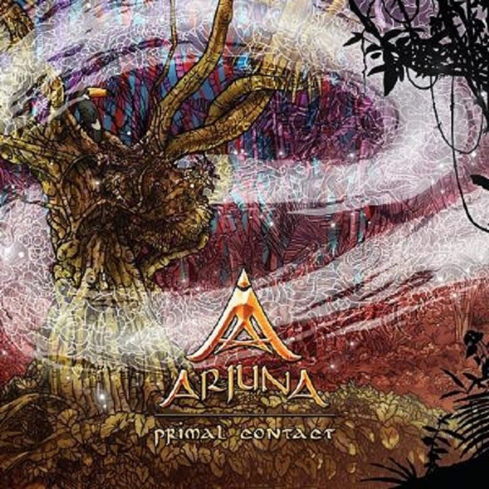 Picture of Arjuna