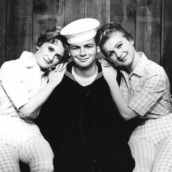 Picture of The Fleetwoods