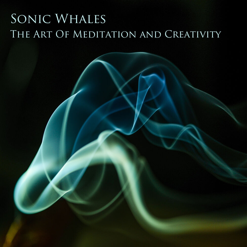 Picture of Sonic Whales