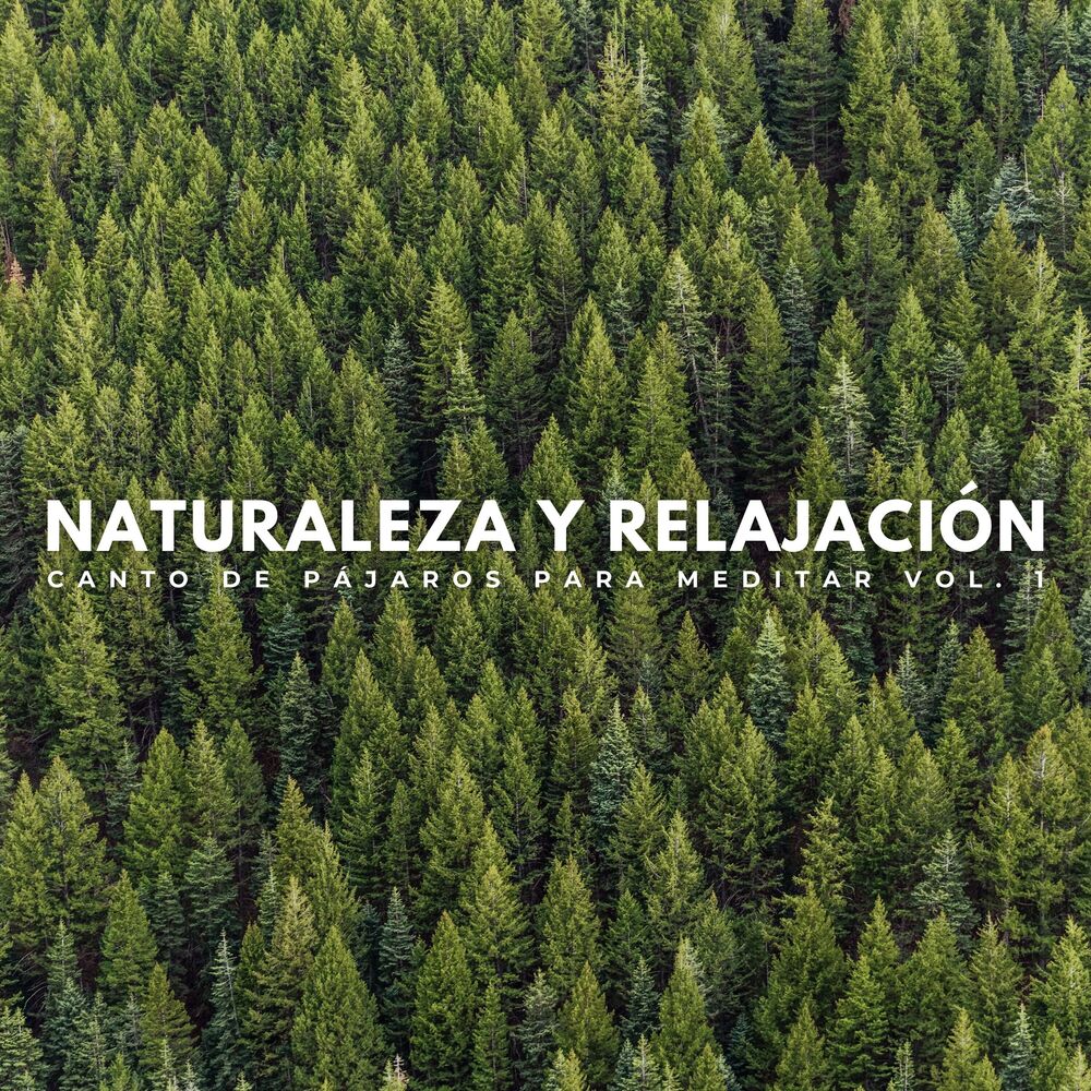 Picture of Pájaros y abejas etc