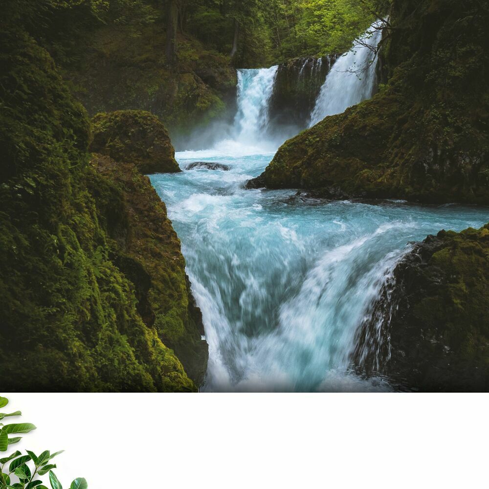 Picture of Nature's Noise