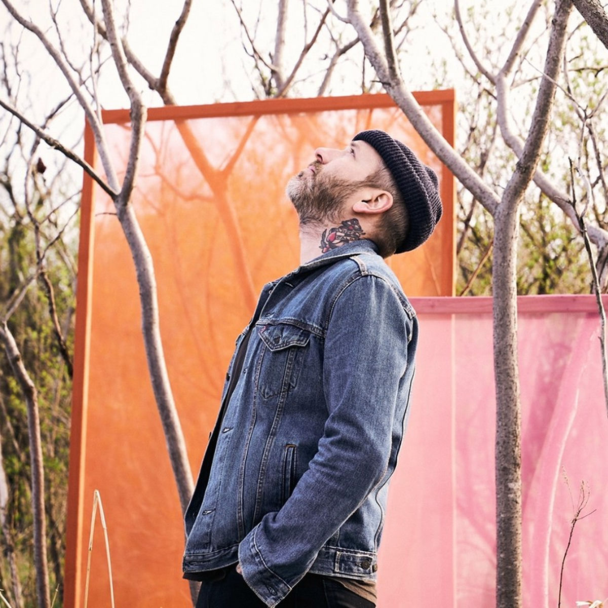 Artist picture of City and Colour