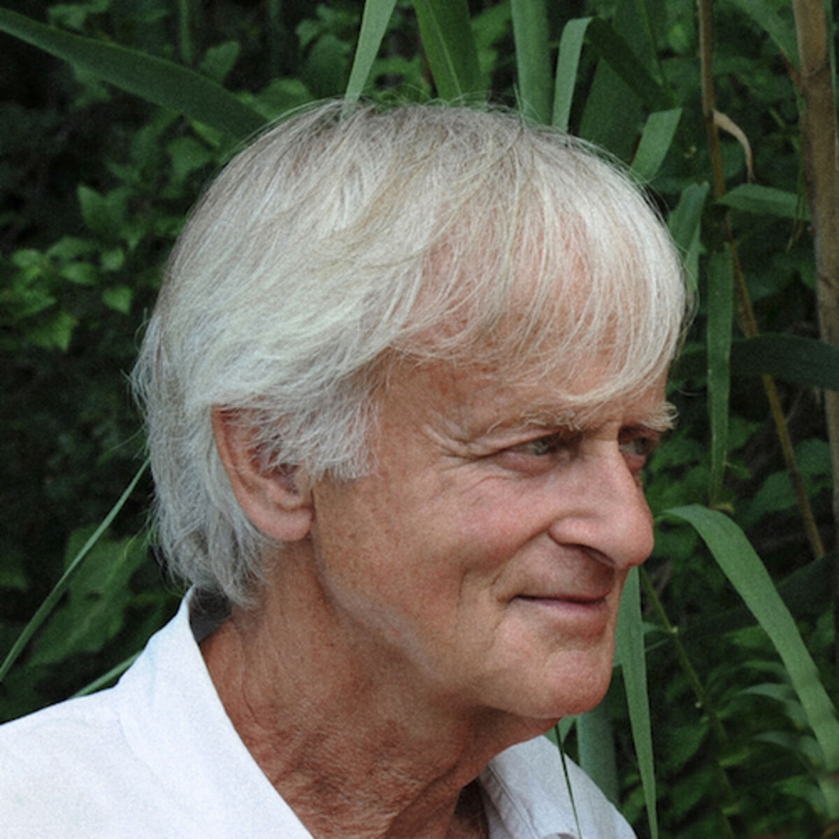 Artist picture of Dave