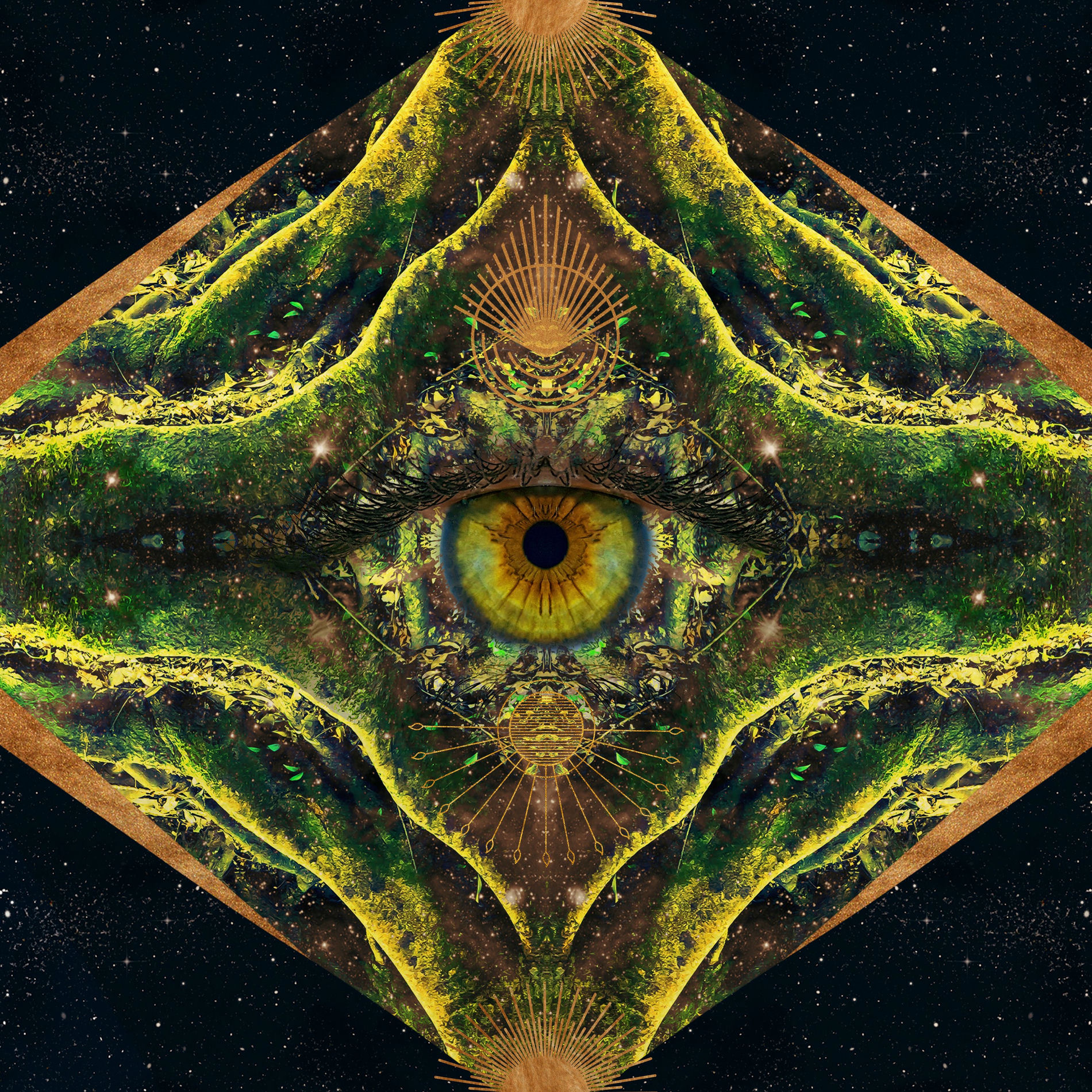 Liquid Bloom