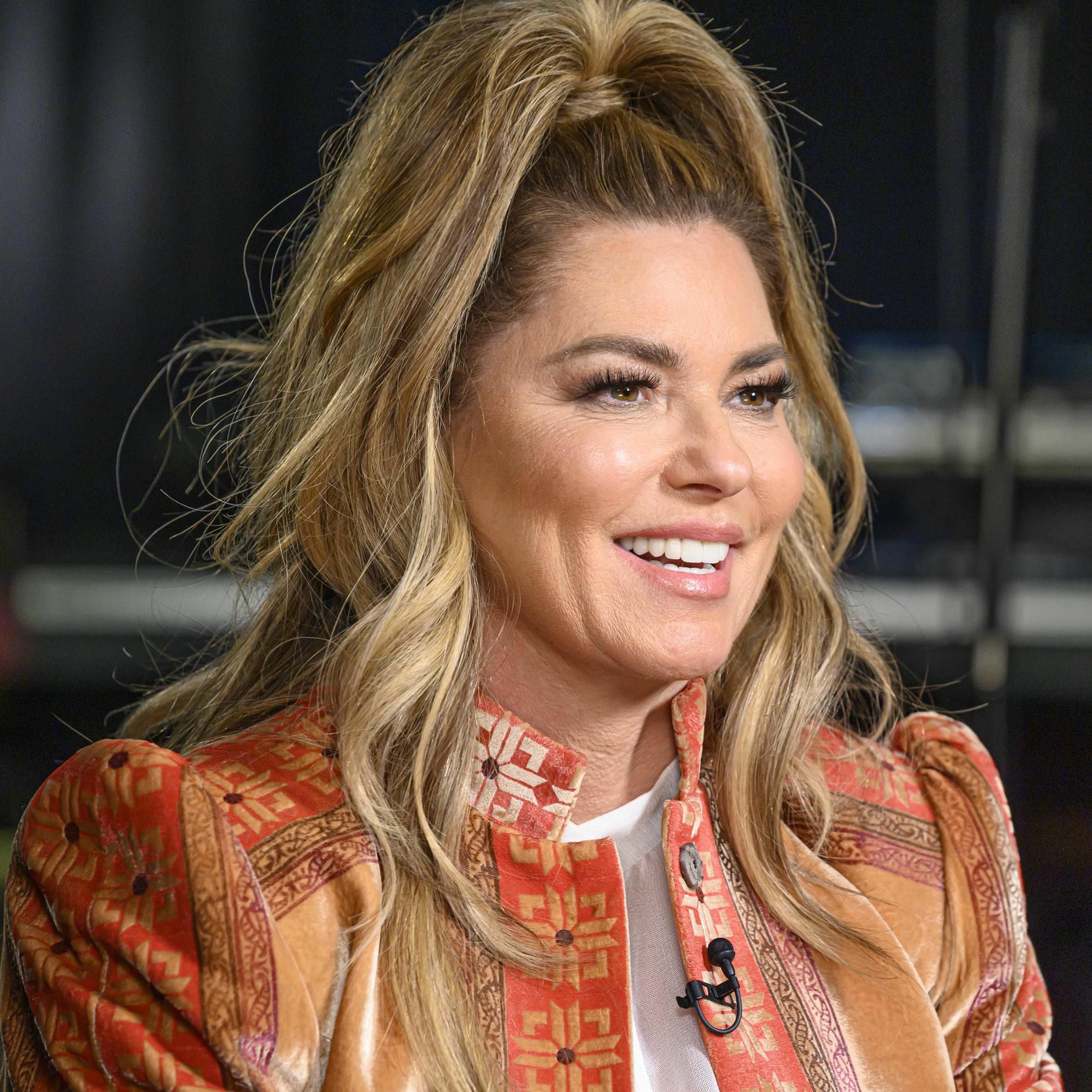 Artist picture of Shania Twain