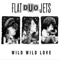 Picture of Flat Duo Jets