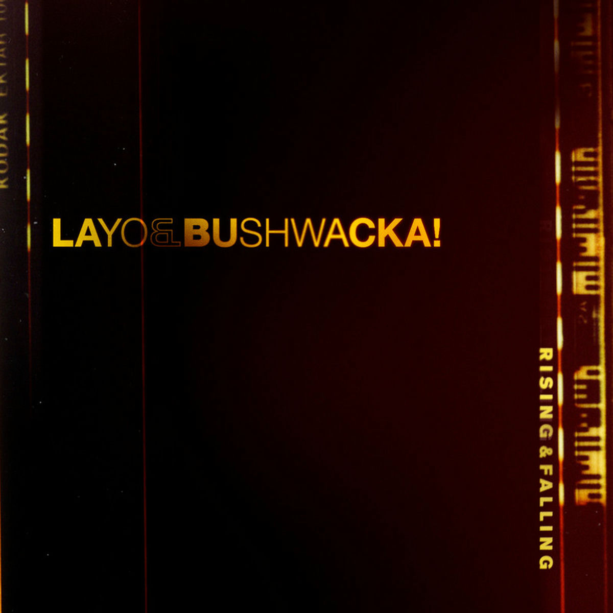 Artist picture of Layo and bushwacka!