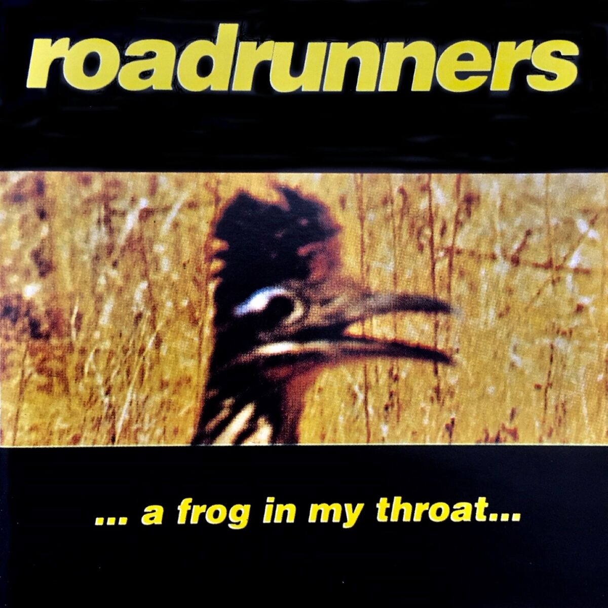 Artist picture of Roadrunners