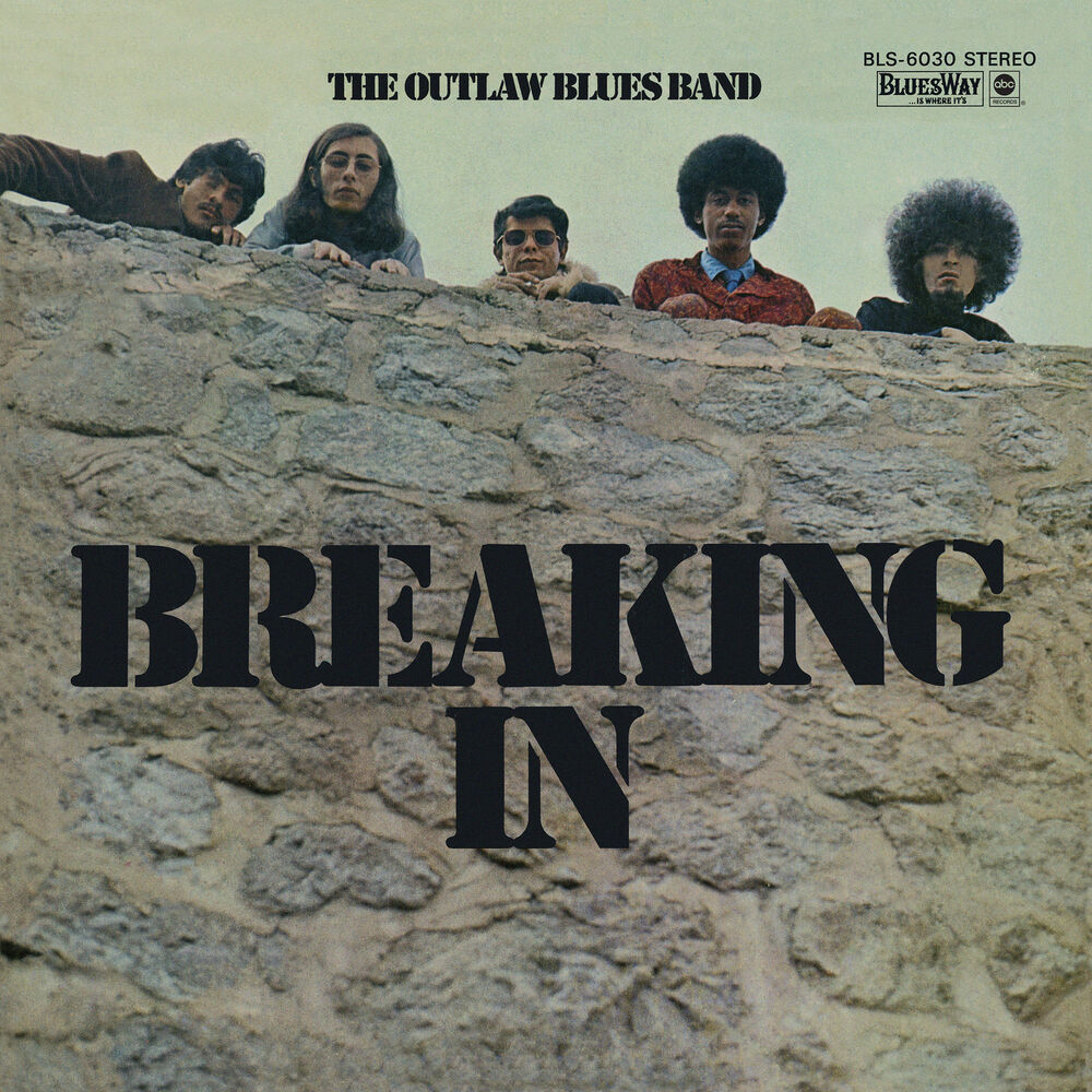 Picture of The Outlaw Blues Band