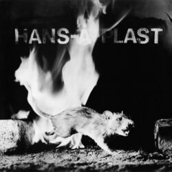 Picture of Hans-A-Plast