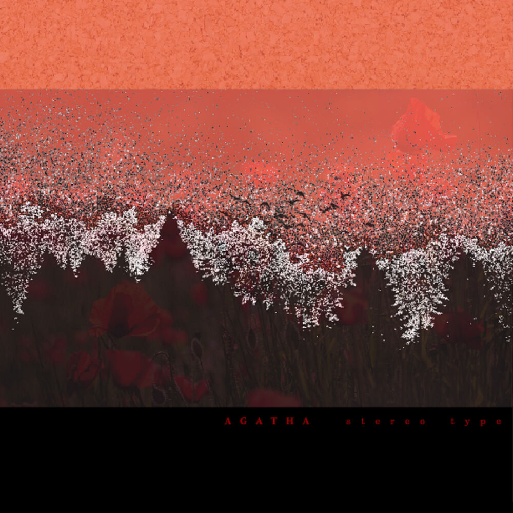Picture of Stereo Type