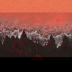 Picture of Stereo Type
