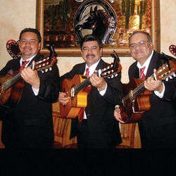 Picture of Trio Serenata