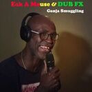 Dub Fx