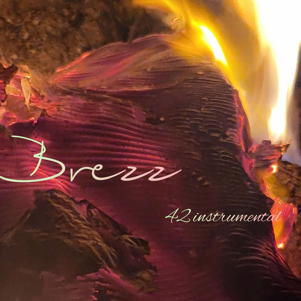 Photo de l'artiste Melodia