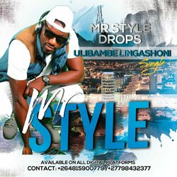 Picture of Mr Style