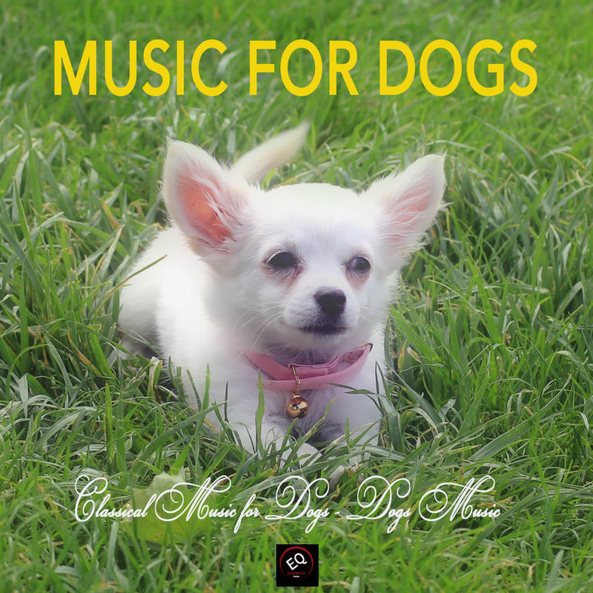 Artist picture of Music for Dogs Collective
