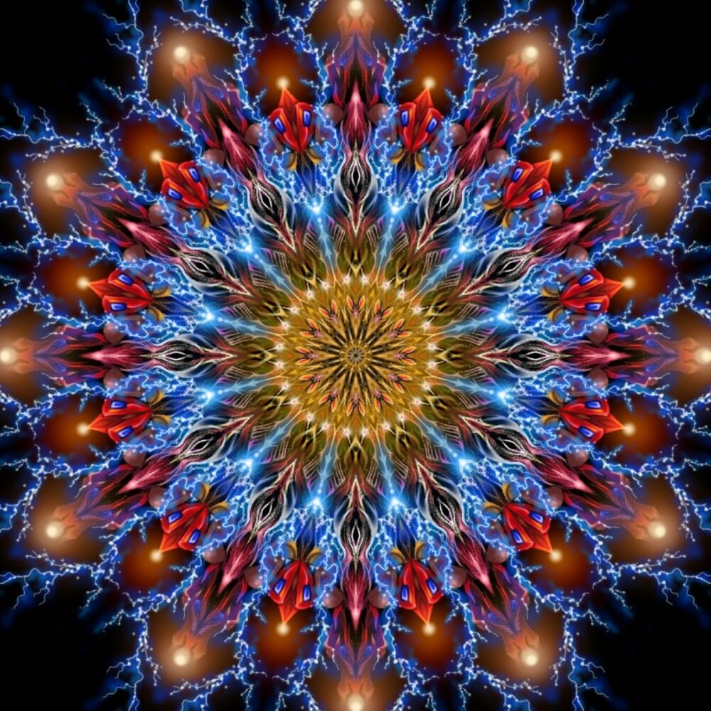 Picture of Mantravine